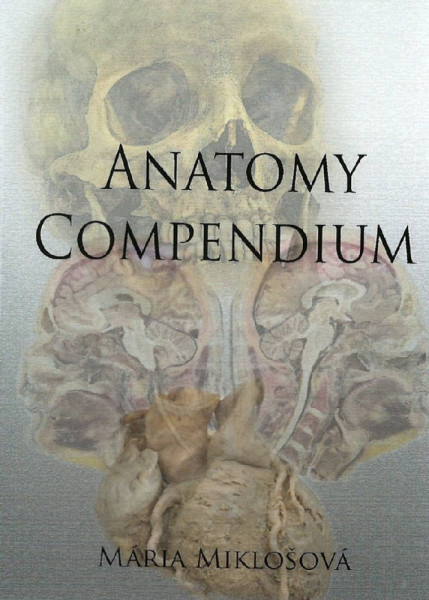 Anatomy Compendium