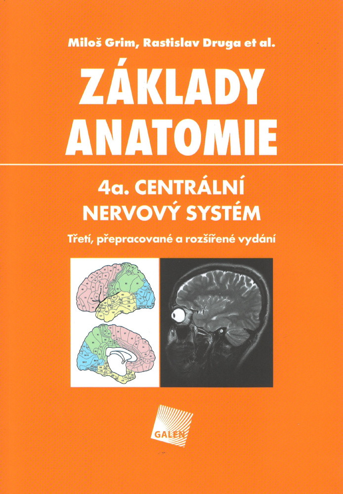 Základy anatomie 4a. - centrální nervový systém
