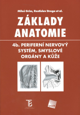 Základy anatomie 4b. - periferní nervový systém, smyslové orgány a kůže