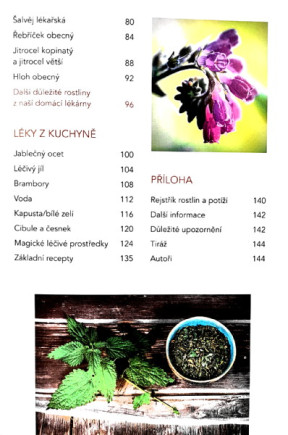Léčivé bylinky
