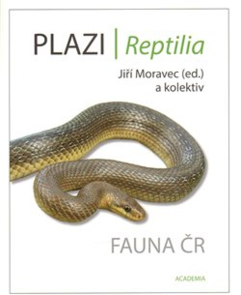 Plazi / Reptilia