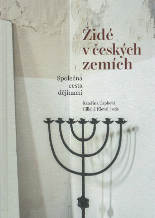 Židé v českých zemích