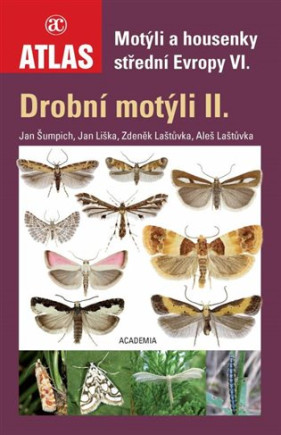 Motýli a housenky střední Evropy VI.